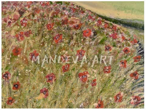Poppy Fields