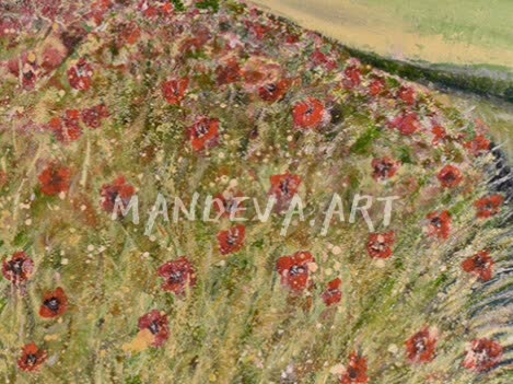Poppy Fields