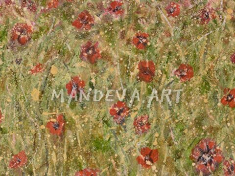 Poppy Fields